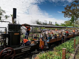 Mary Ann Steam Train