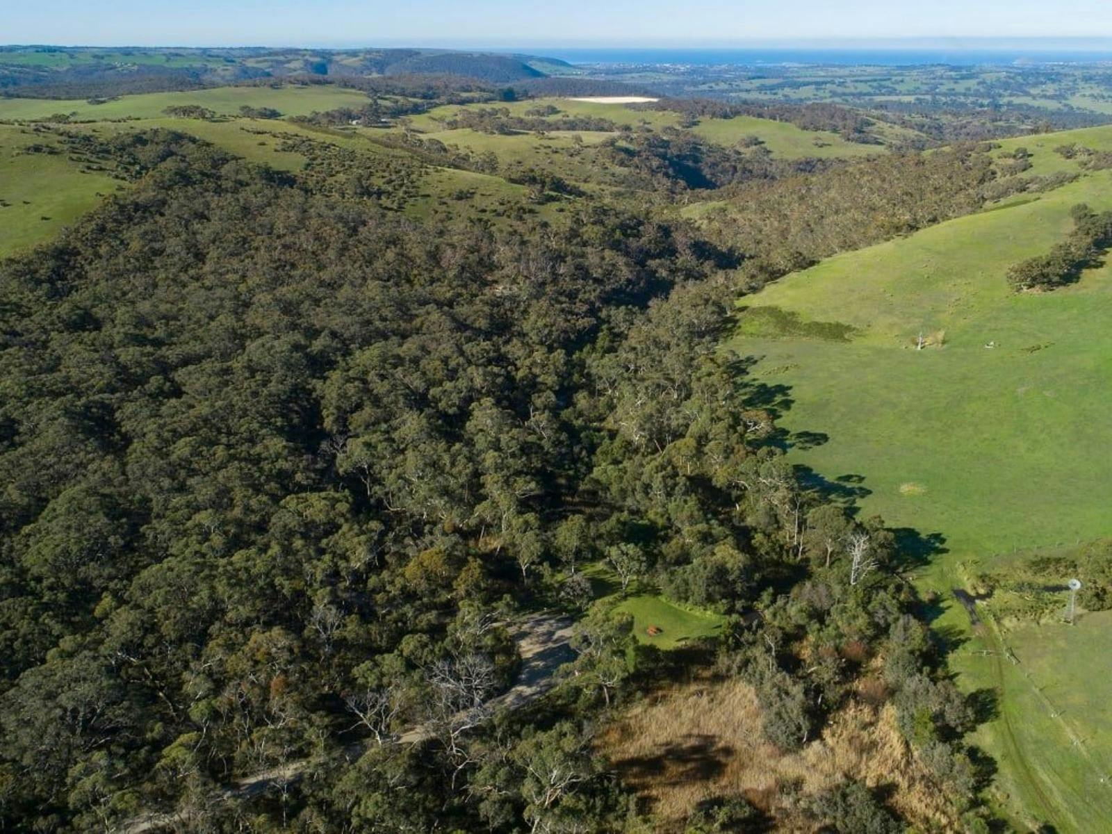 Picnic area at Hindmarsh Falls incredible setting.