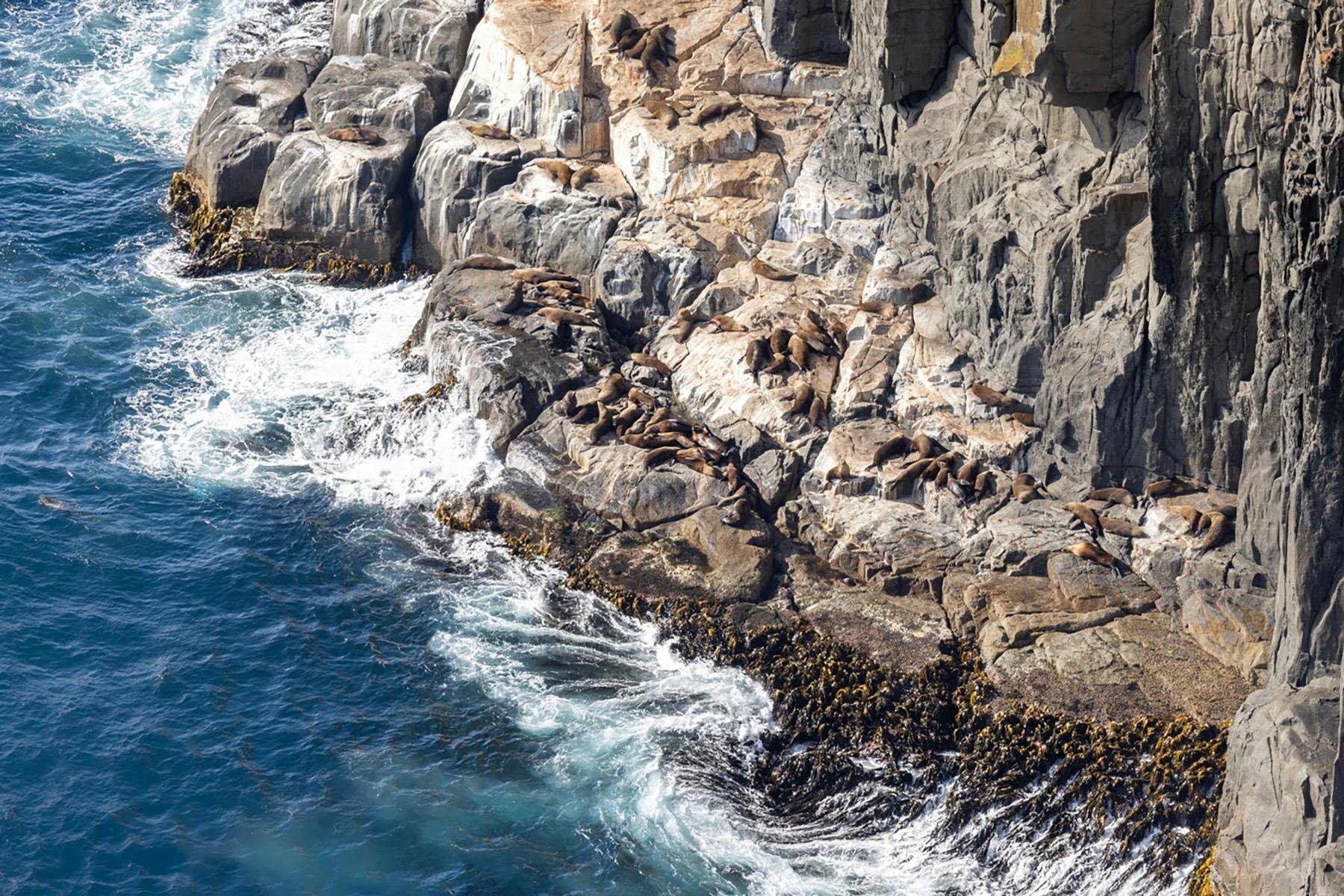 Three Capes Track Lodge