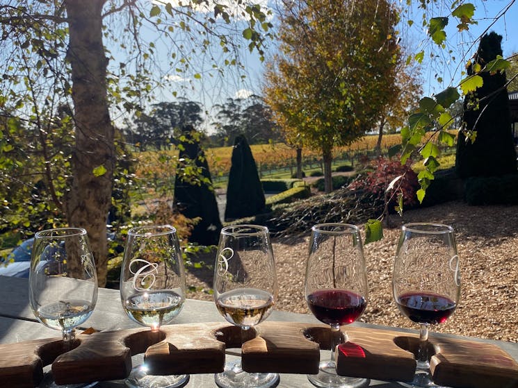 Tasting Paddle - Vino Rosso Tours Southern Highlands