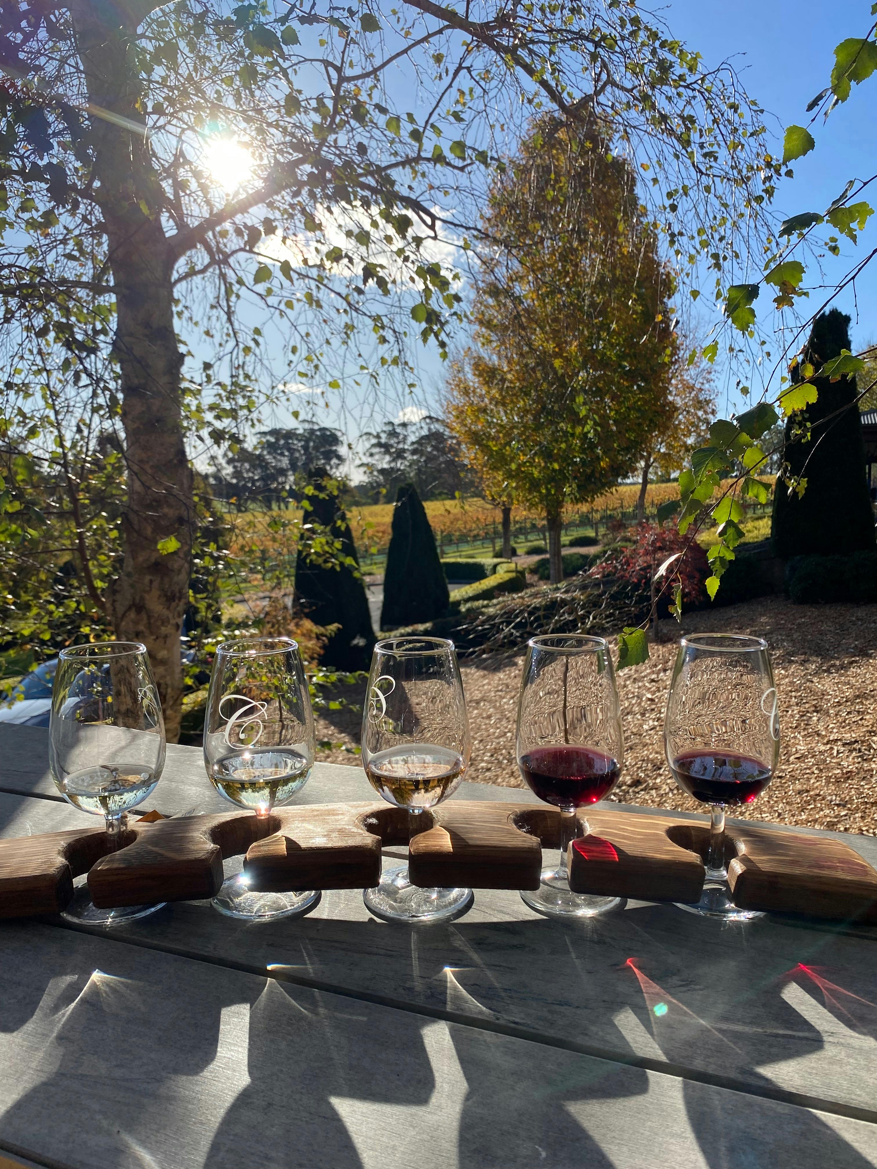 Tasting Paddle - Vino Rosso Tours Southern Highlands