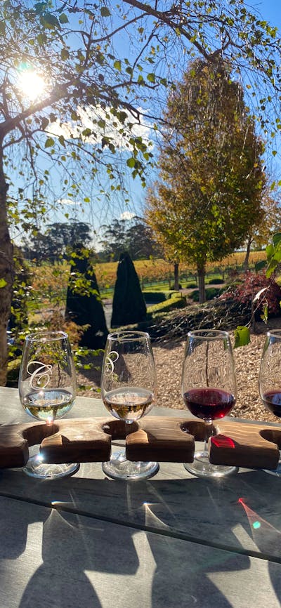 Tasting Paddle - Vino Rosso Tours Southern Highlands