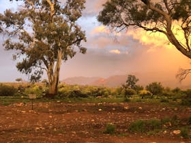 Merna Mora Station Moralana creek