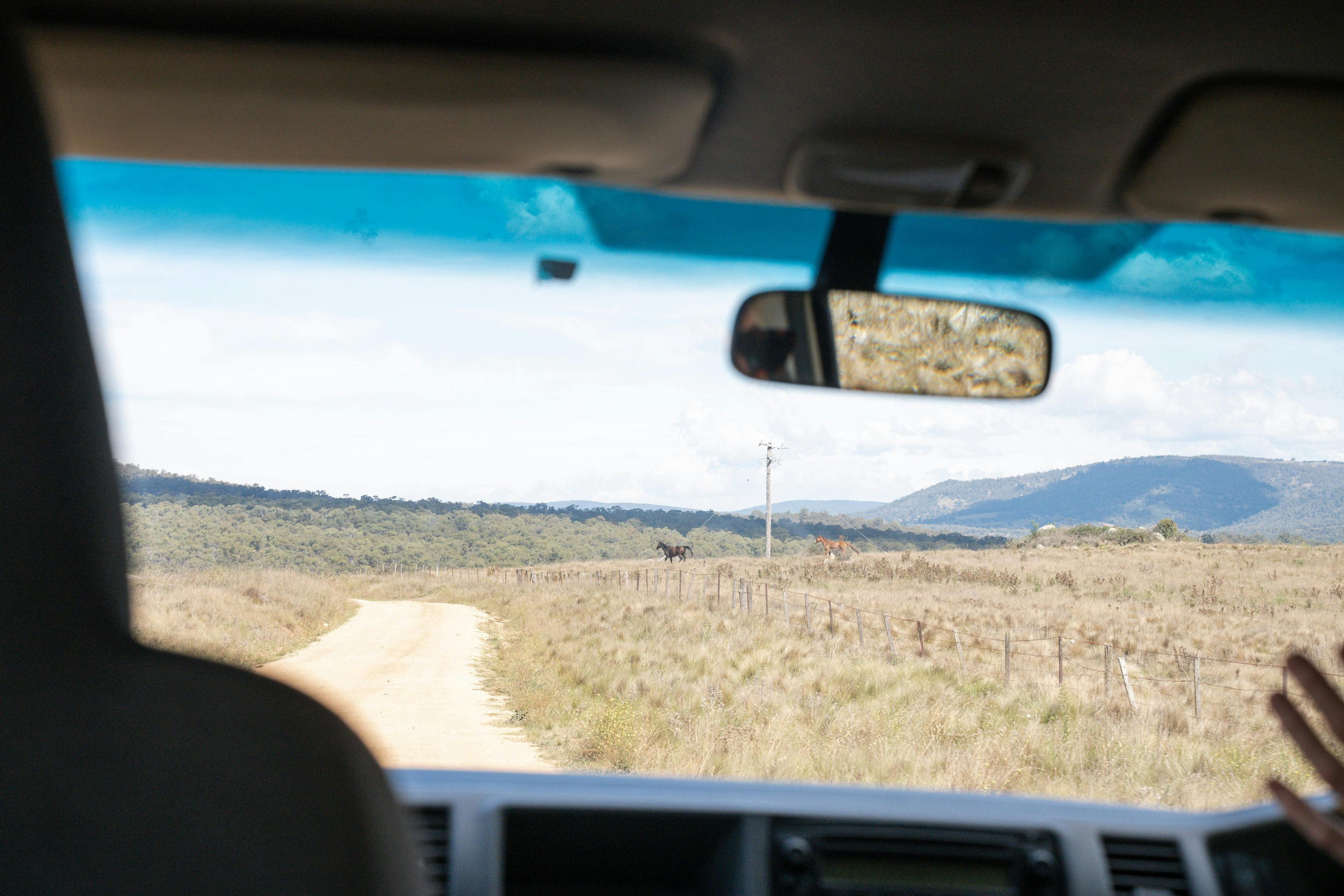 A view through the drivers seat of the tour bus on a country road with horses running in the distanc