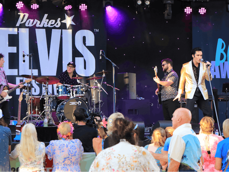 Elvis Singer