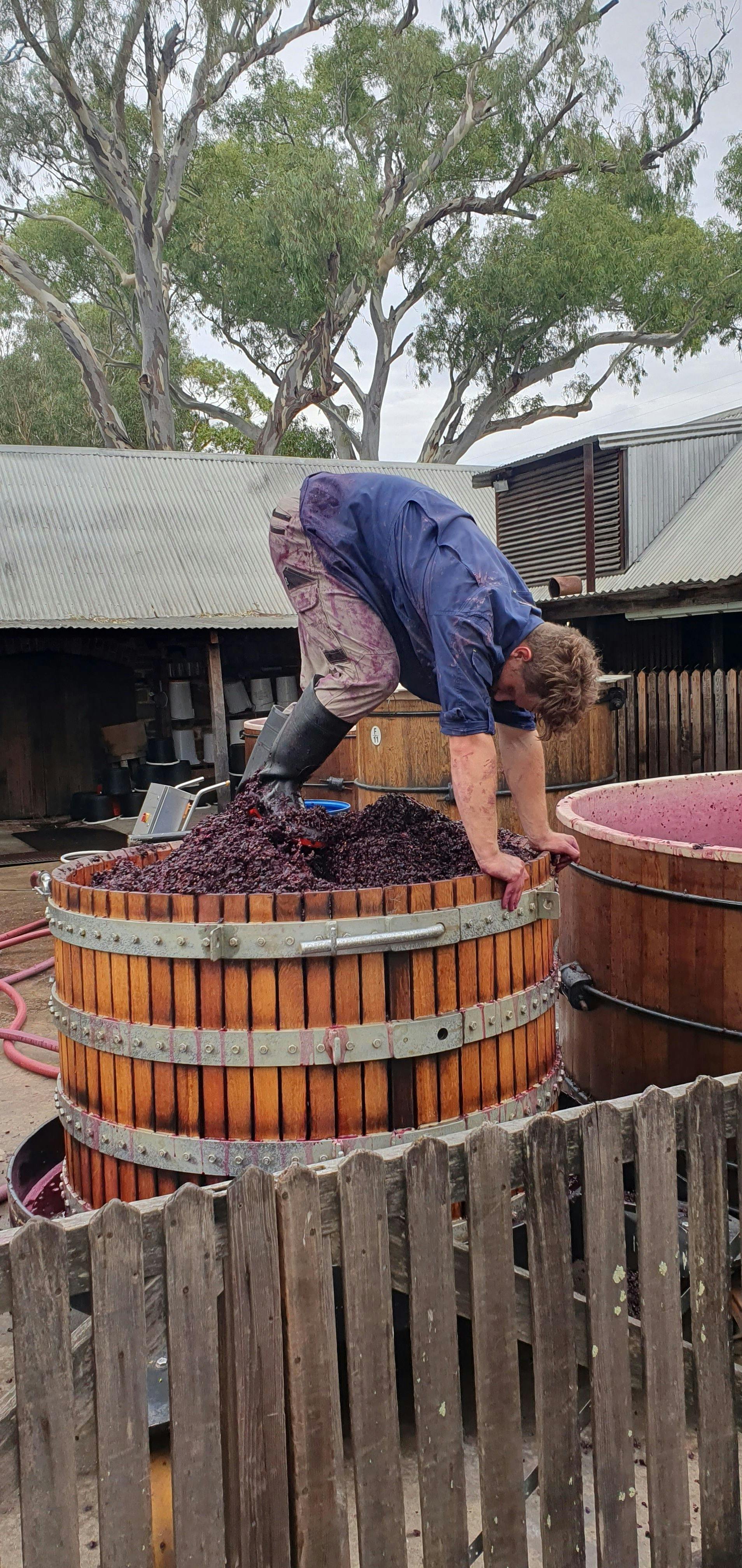 All Barossa Tours Basket Pressing