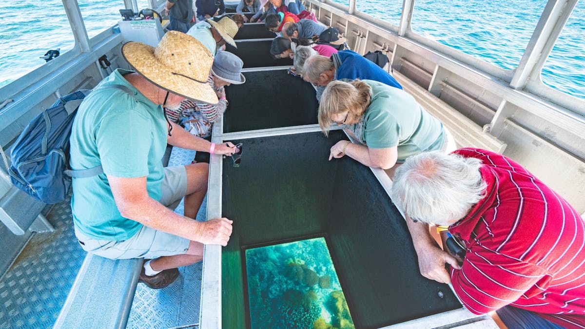 Glass bottom boat viewing. Great for those who don't want to get wet. Commences from Great Keppel.