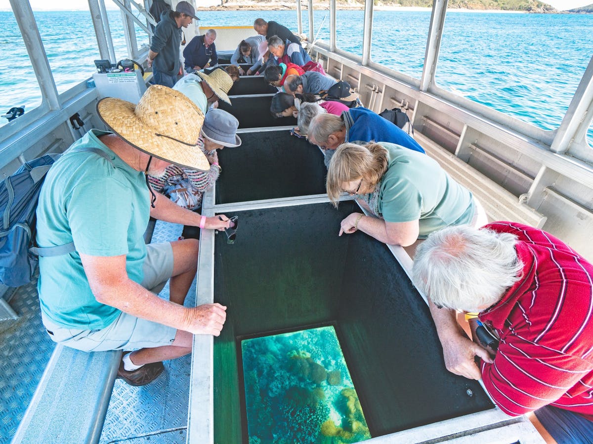 Glass bottom boat viewing. Great for those who don't want to get wet. Commences from Great Keppel.