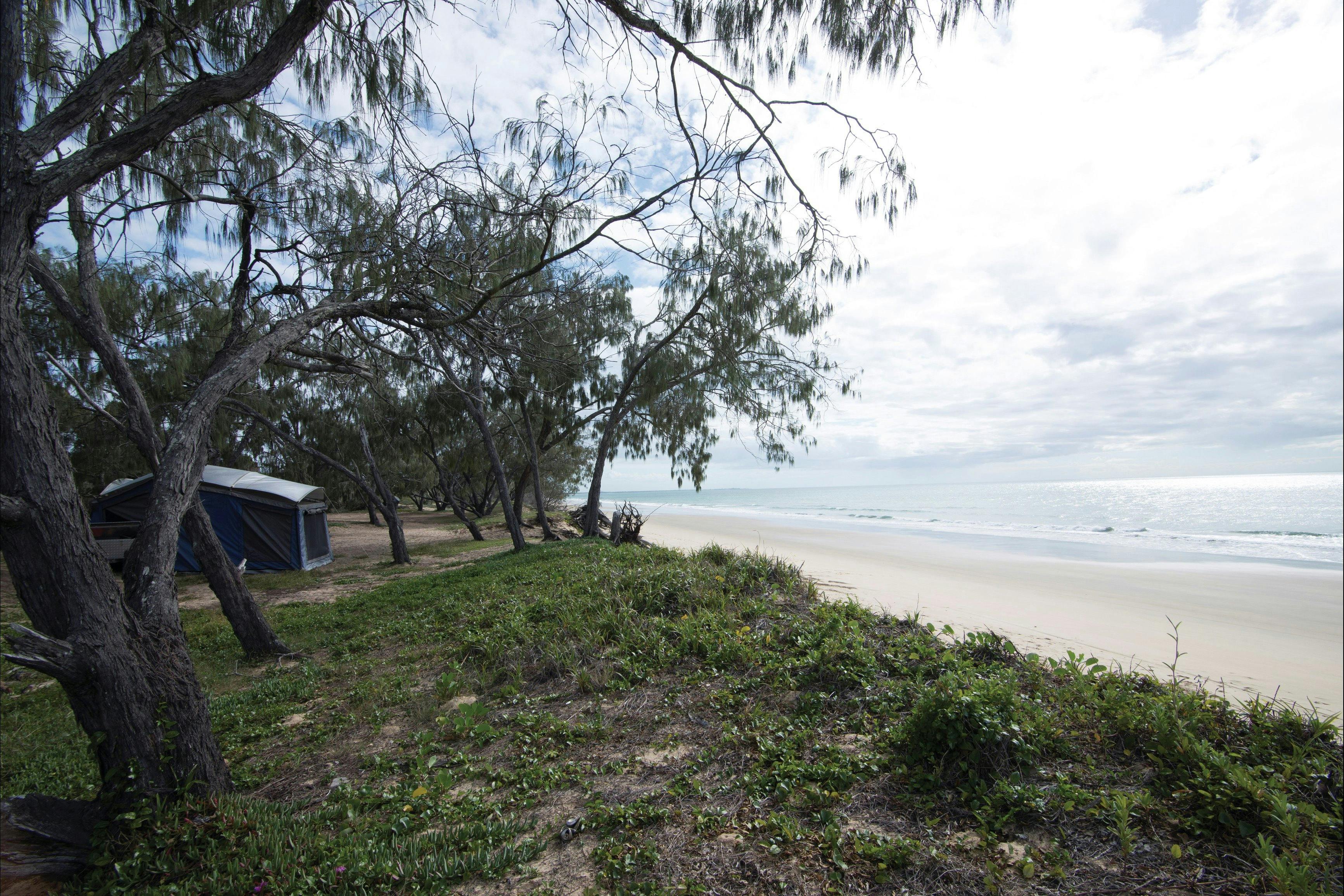 Kinkuna camping zone, Burrum Coast National Park