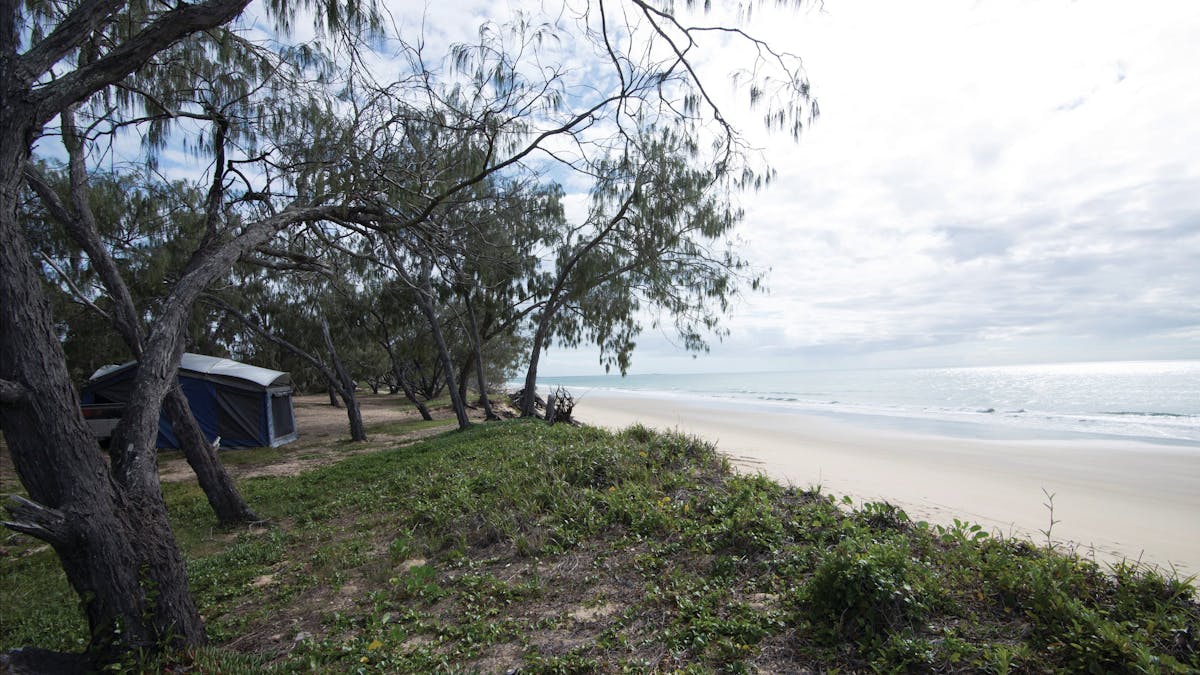 Camp site beside beach.