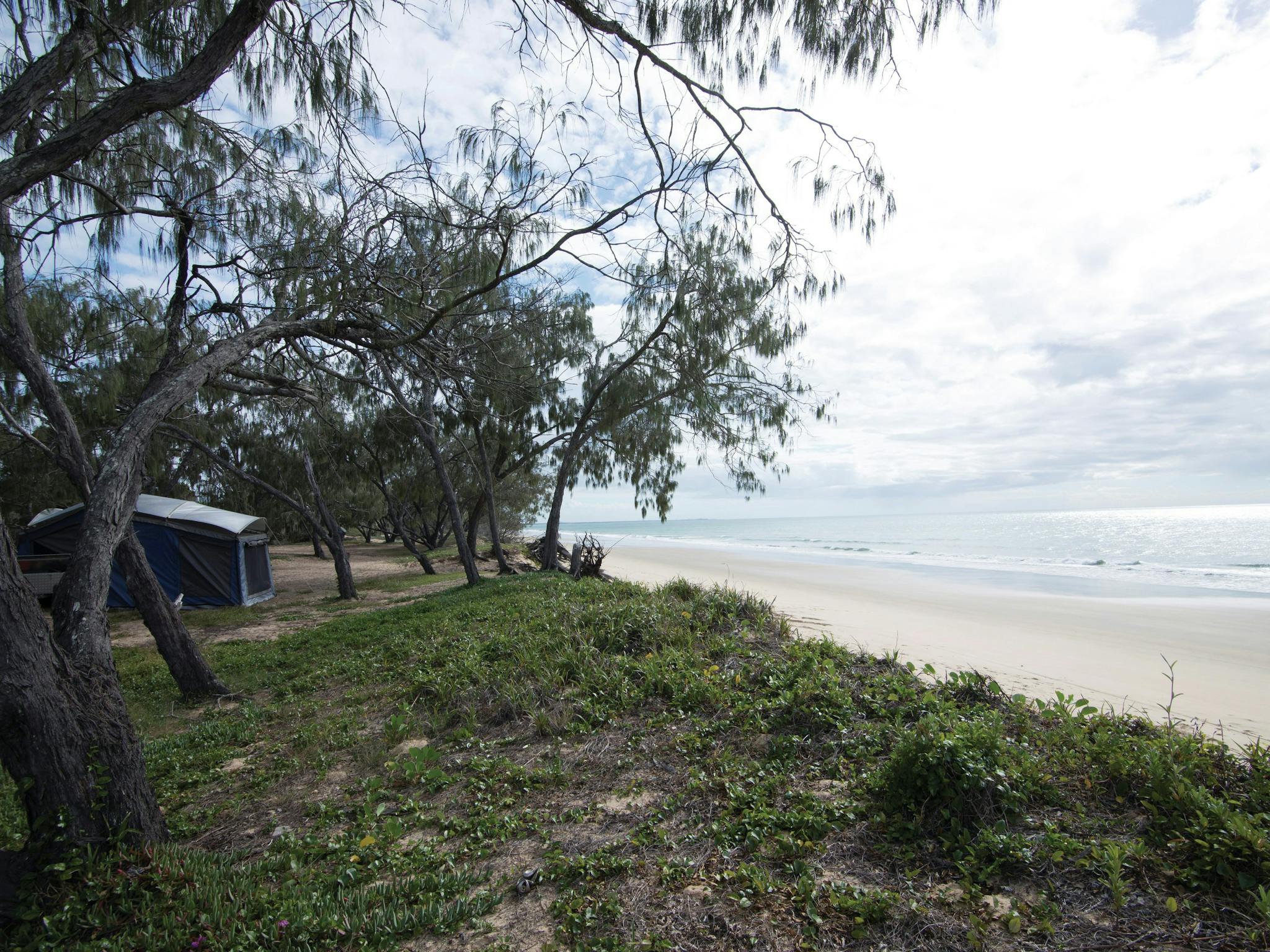 Camp site beside beach. Camp site beside beach.