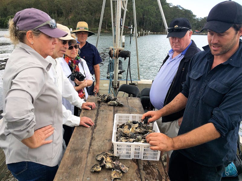 Food Trail and Coastal Highlights Tours can incorporate oyster tasting in various locations