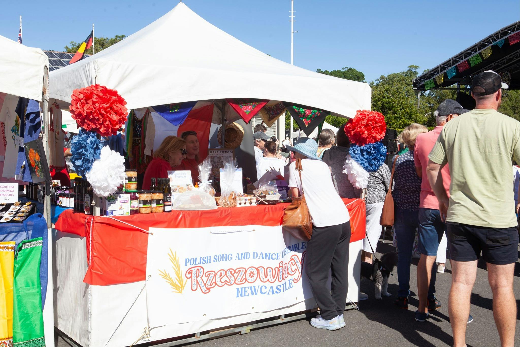 Multicultural Fiesta