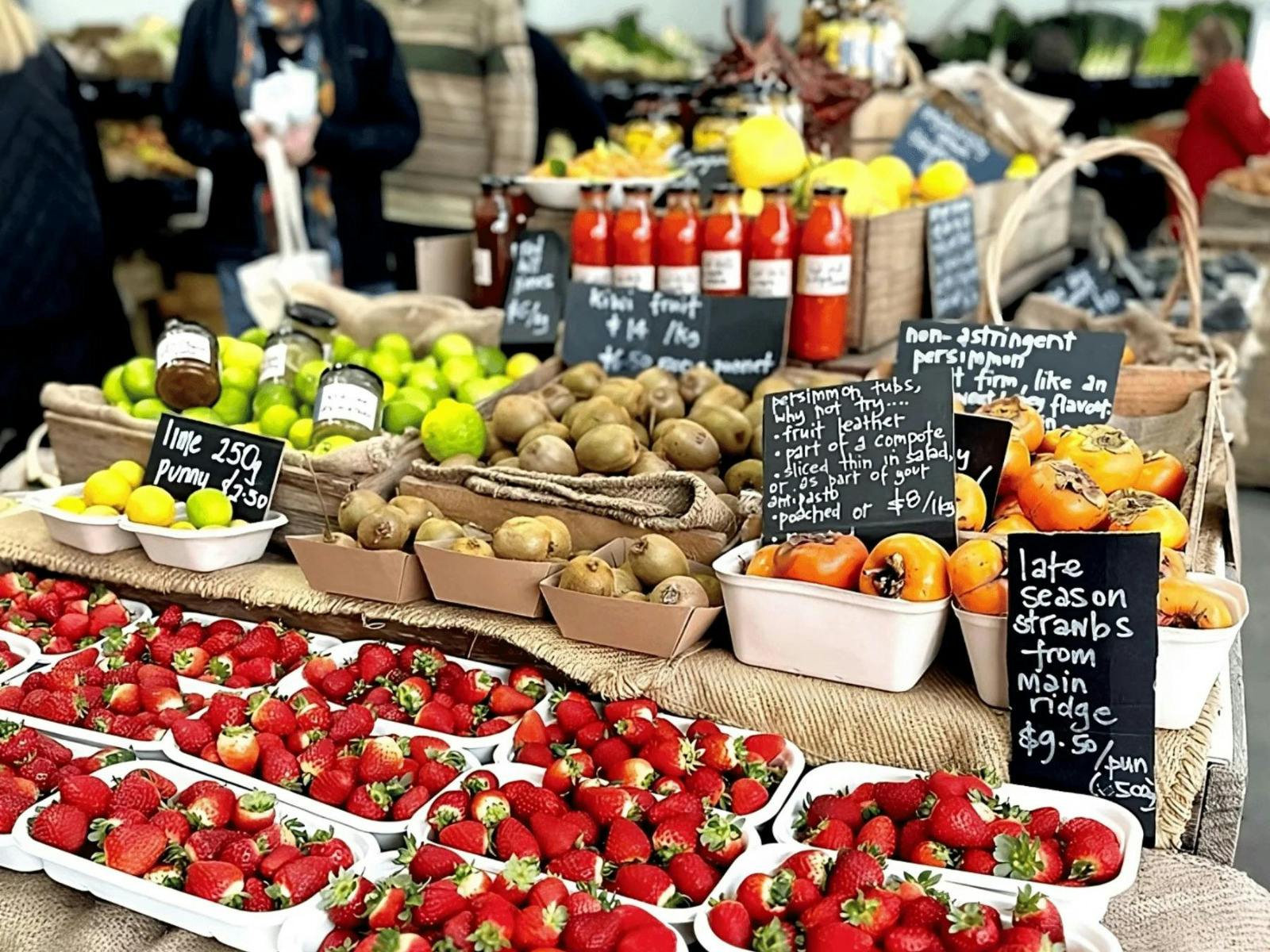 Mystery Picnic Mornington Peninsula