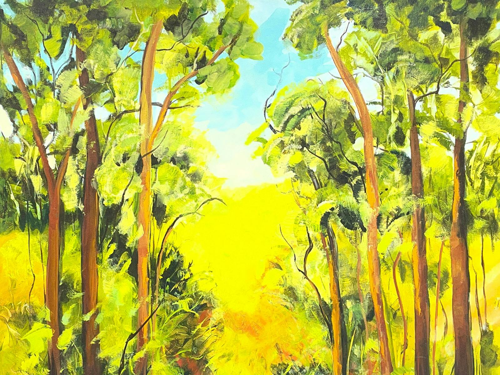 Journey to Pebbly Creek by Sandra Wenban at The Peisley St Gallery