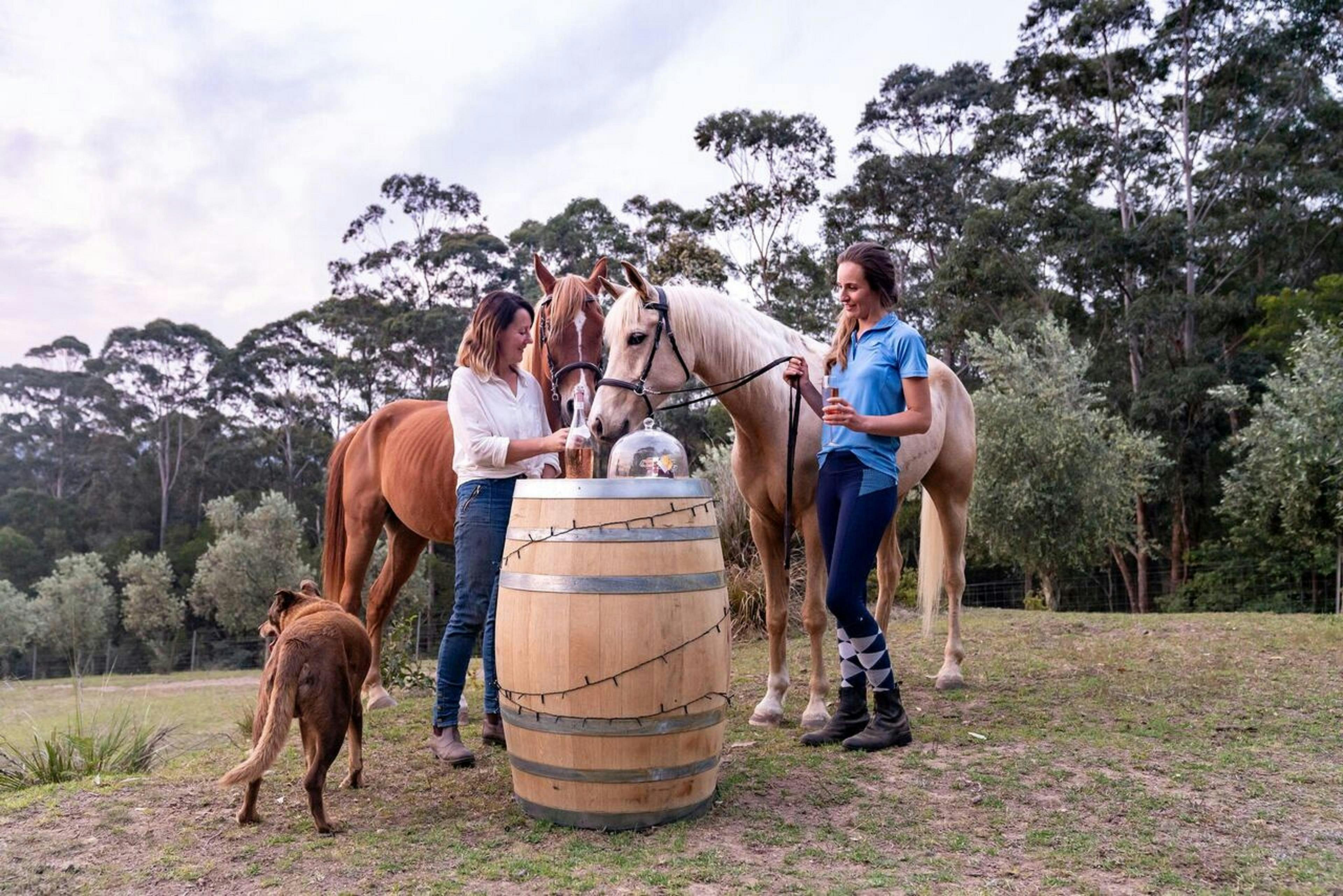 Champagne Hill, horses and wine, wine barrel, shoalhaven
