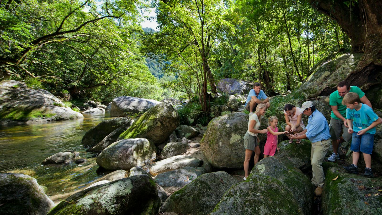 Guided Tour, Mossman Gorge