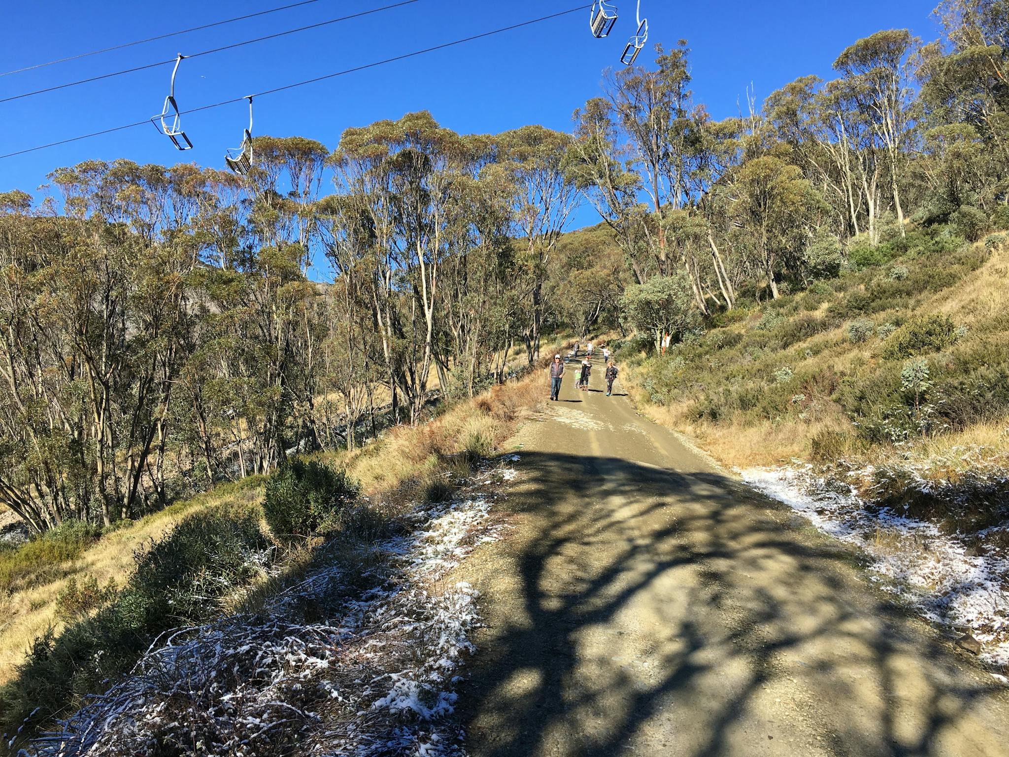 bushwalking mt hotham arrabri ski club