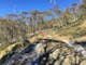 bushwalking mt hotham arrabri ski club