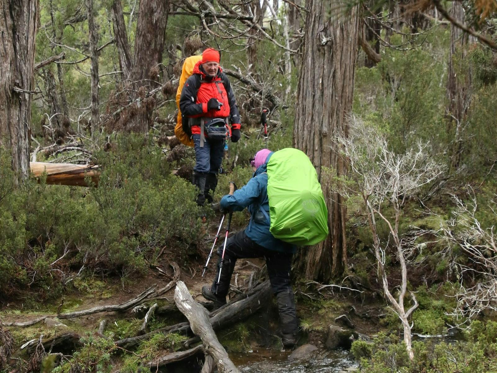 Trek Tasmania