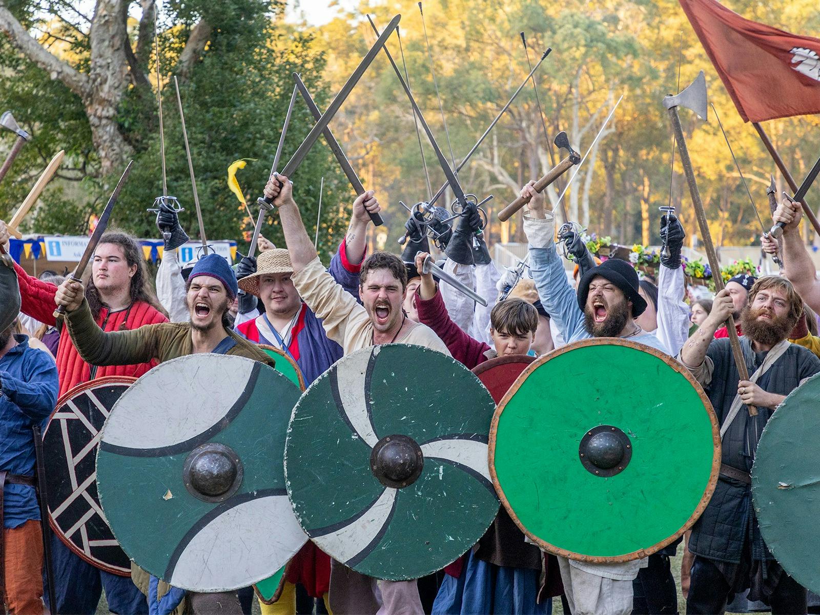 Viking Shields & Combat