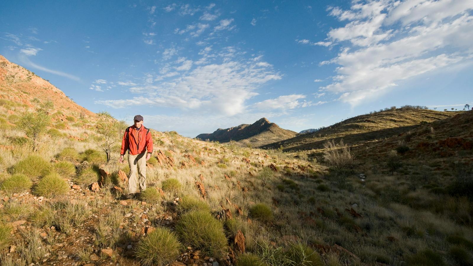 Trekking along the Larapinta Trail