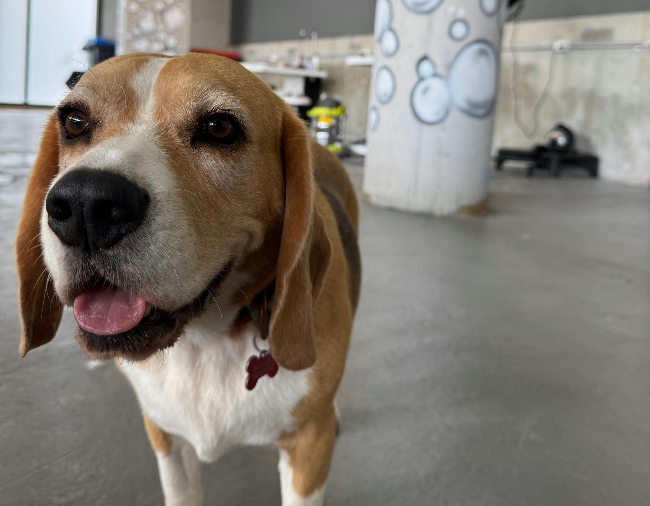 BabaG 咖啡厅和美容沙龙