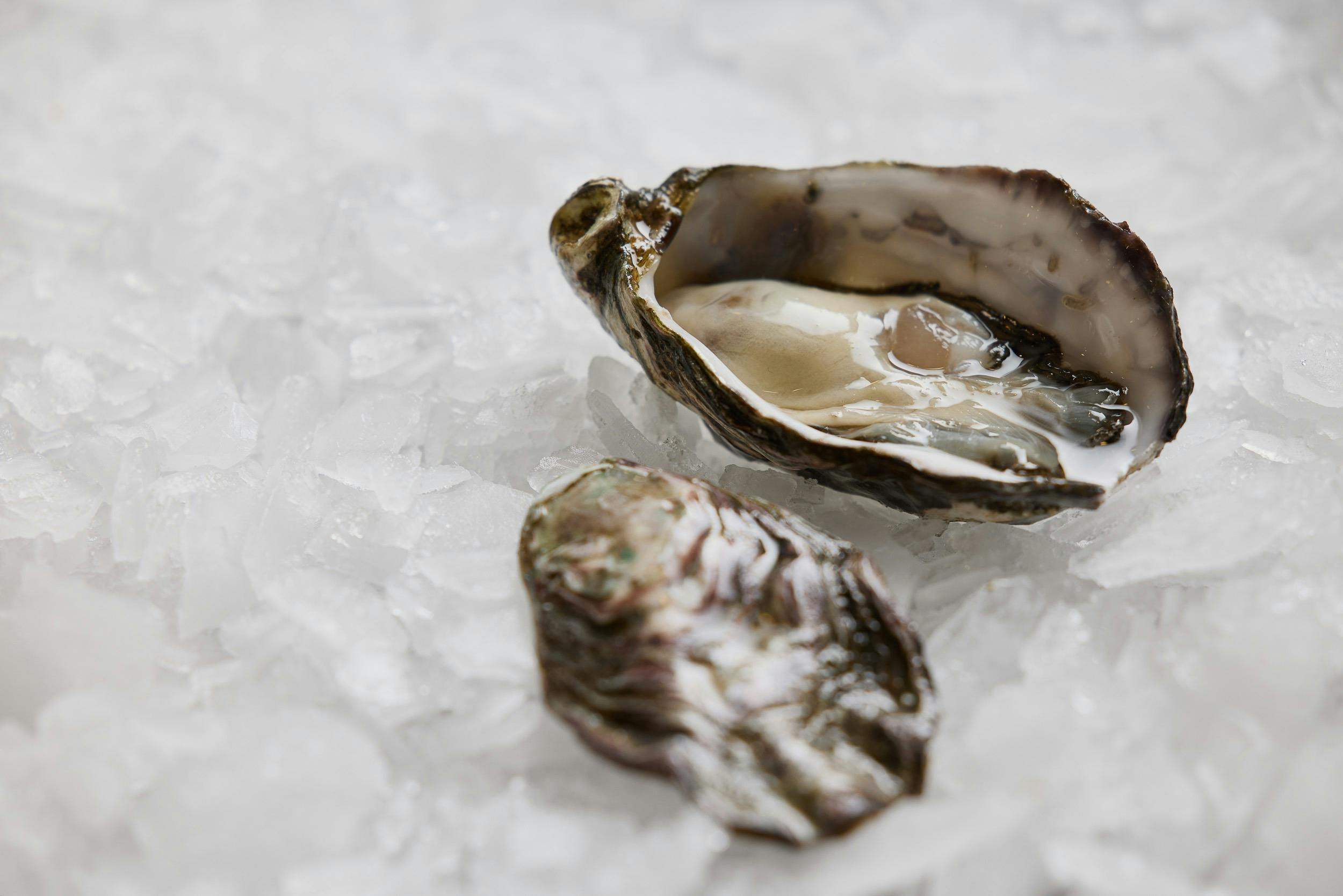$3 Fresh Oysters image