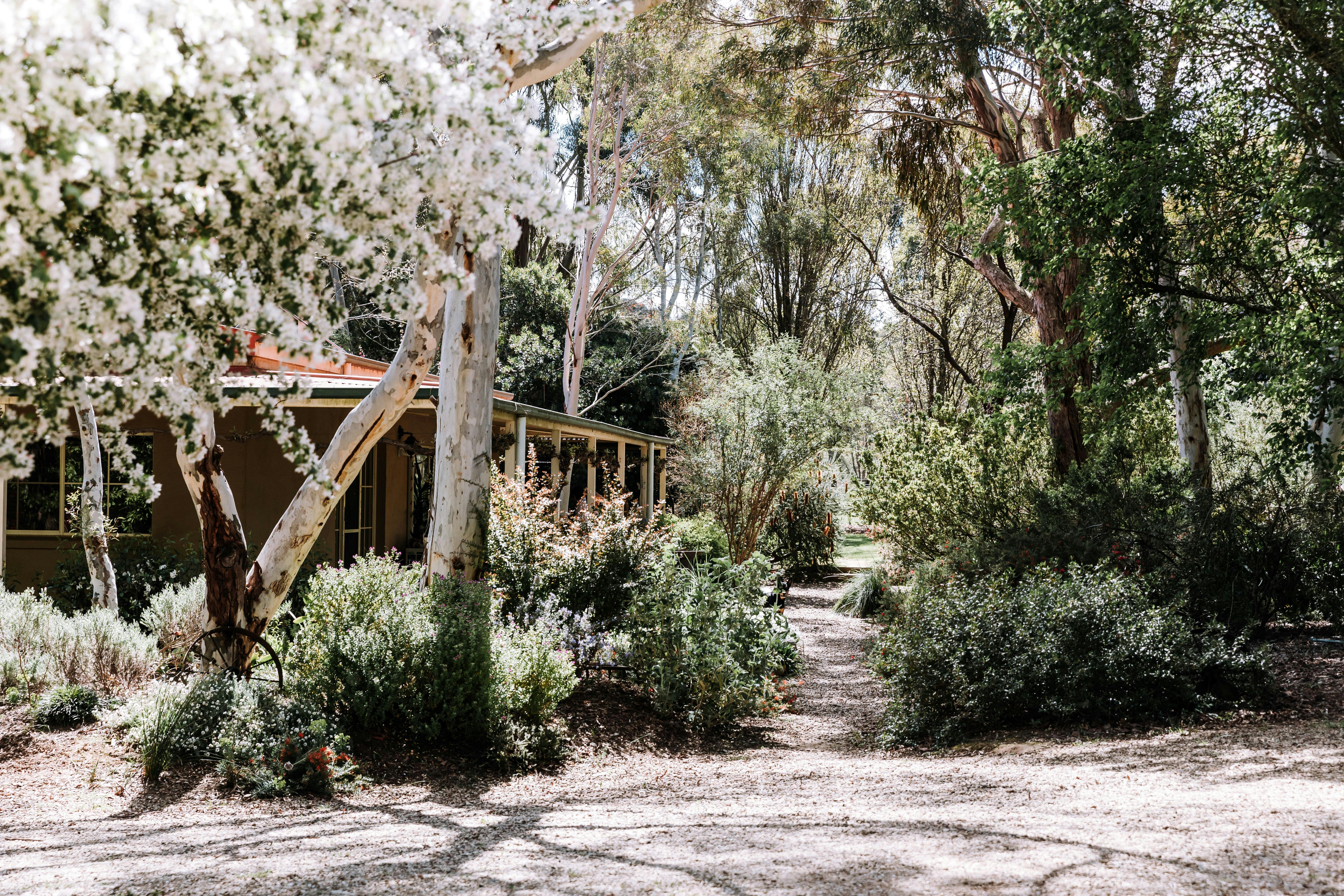 Home of Wild Sacred Medicine