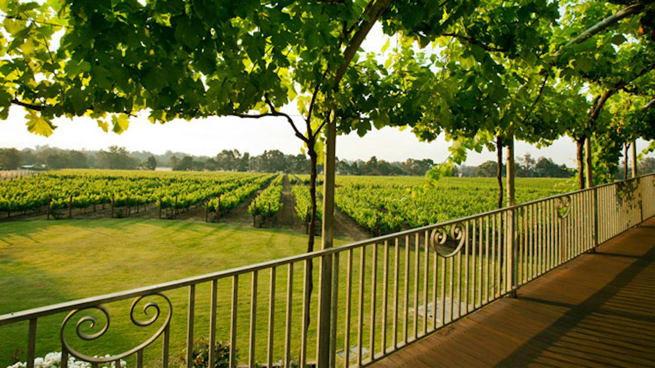 Capel Vale Wines & Match Restaurant