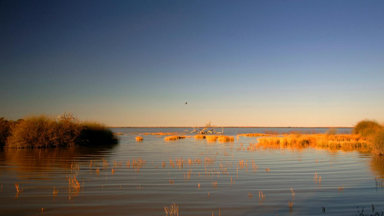 Malkumba-Coongie Lakes National Park