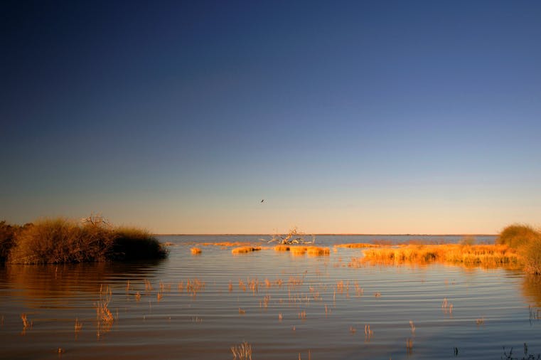MalkumbaCoongie Lakes National Park