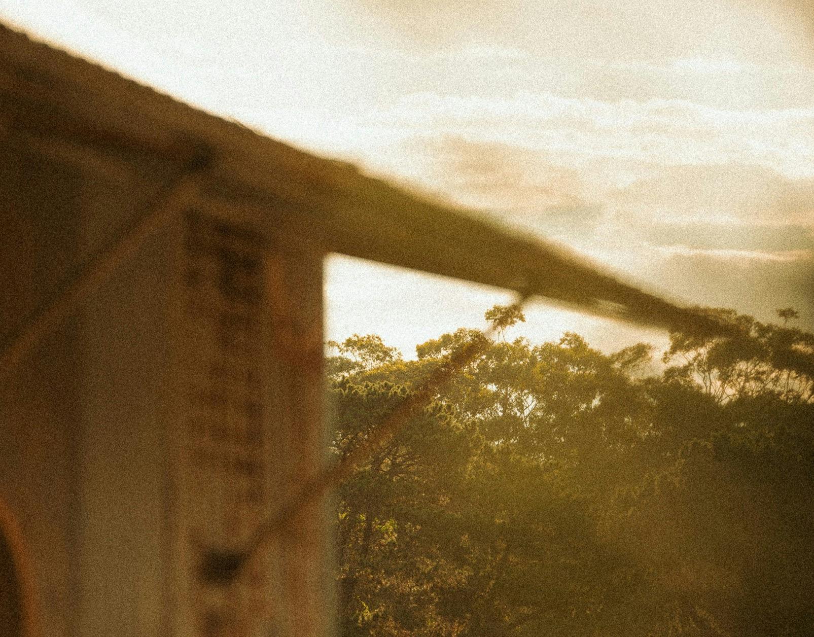 Sally the Skywatcher at B Farm by Murrays
