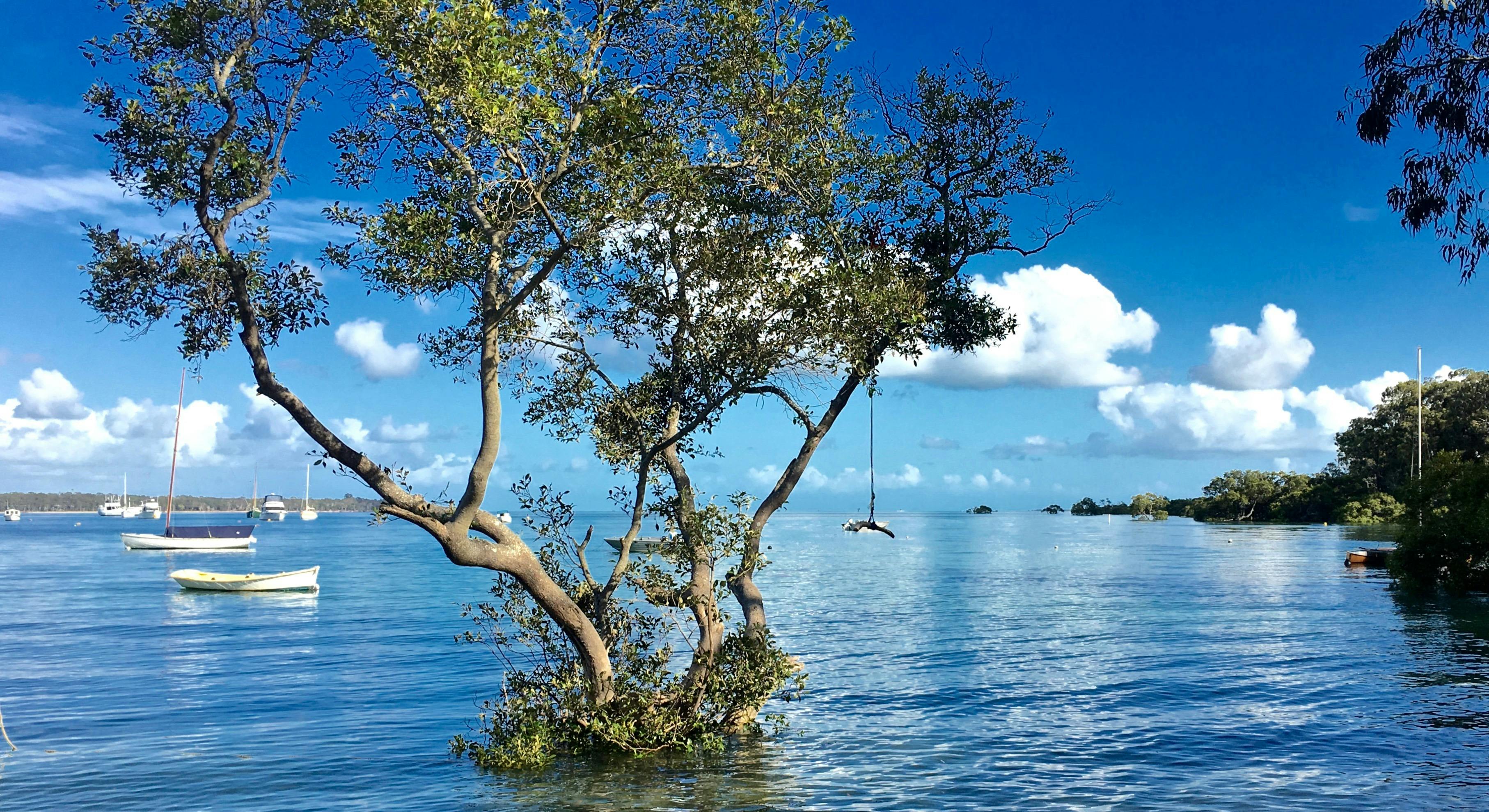 Redlands Coast Lifestyle Information Centre