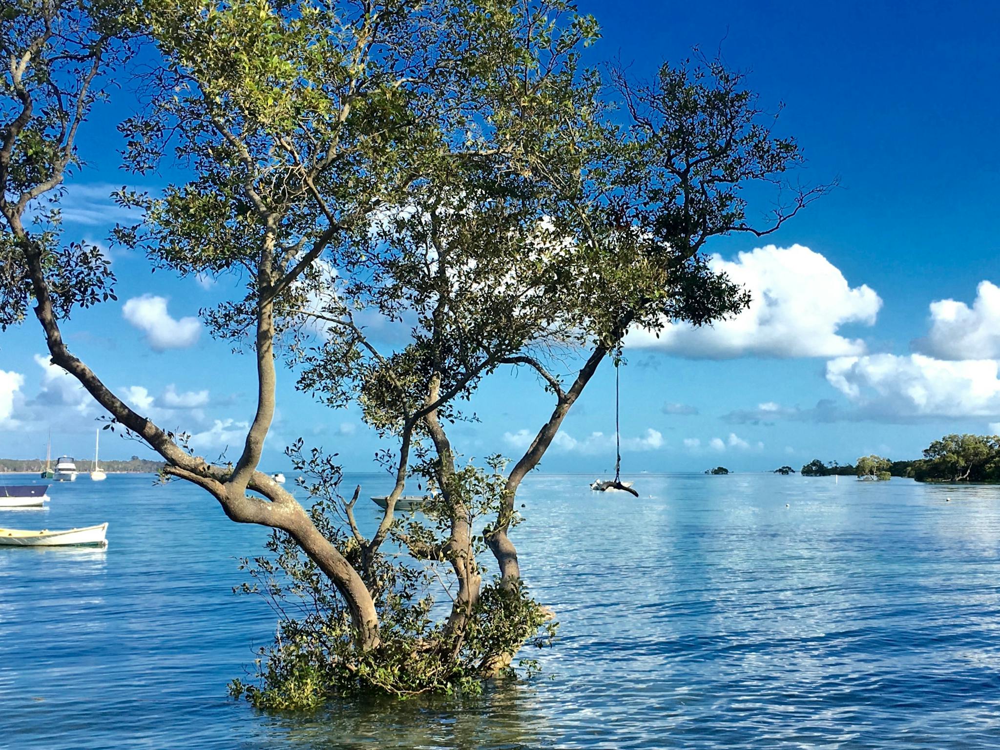 Macleay Island Macleay Island