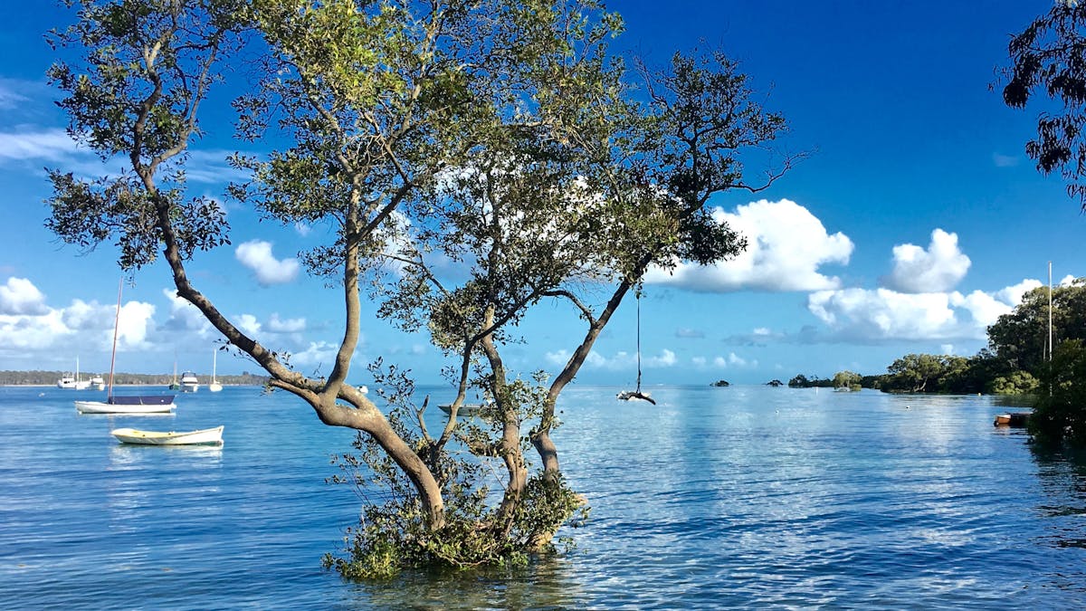 Macleay Island