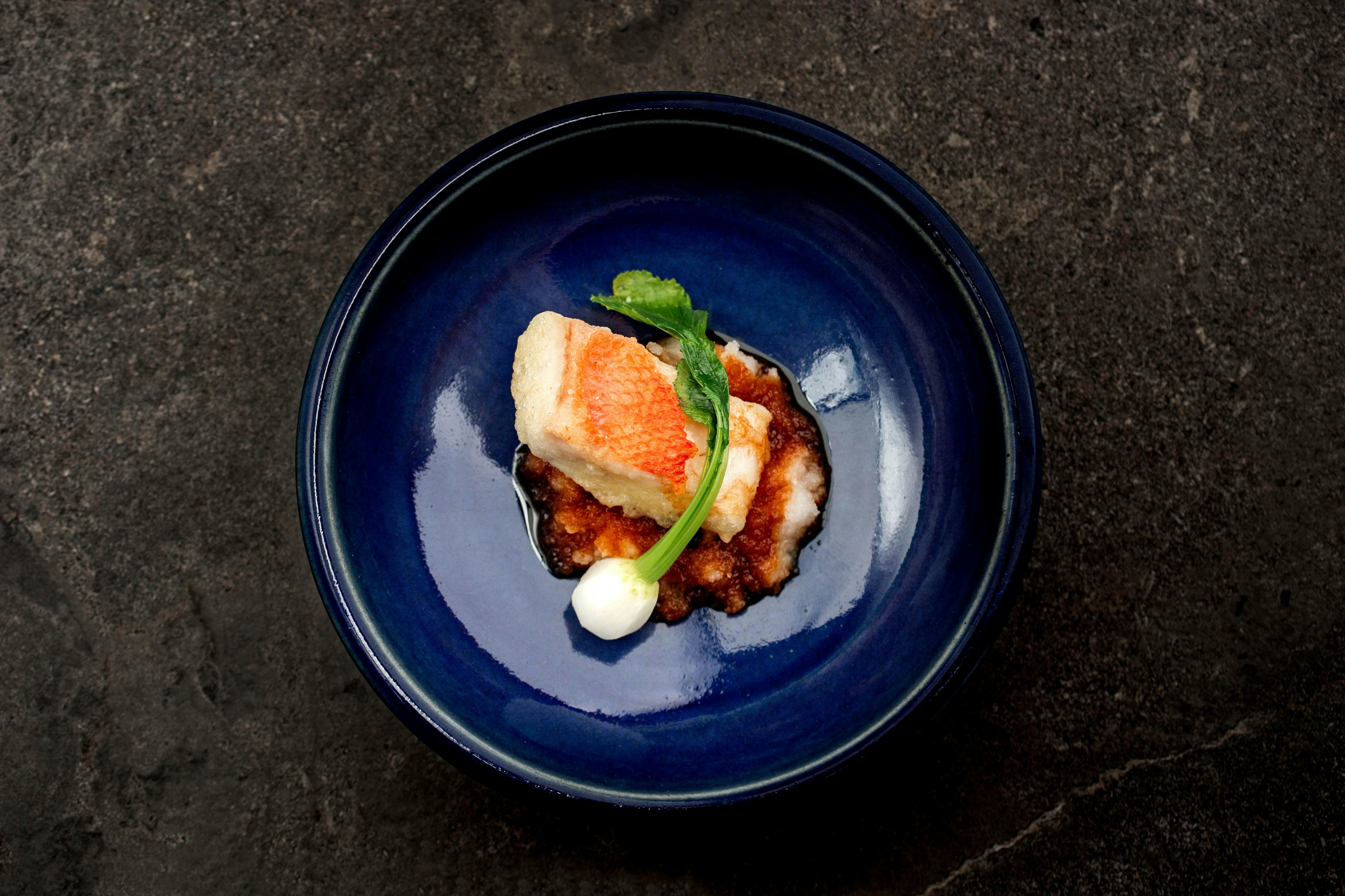 Haco Yusuke Oba November 2022