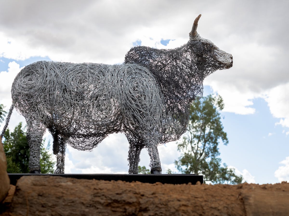 Wire Bull - Alpha Murals