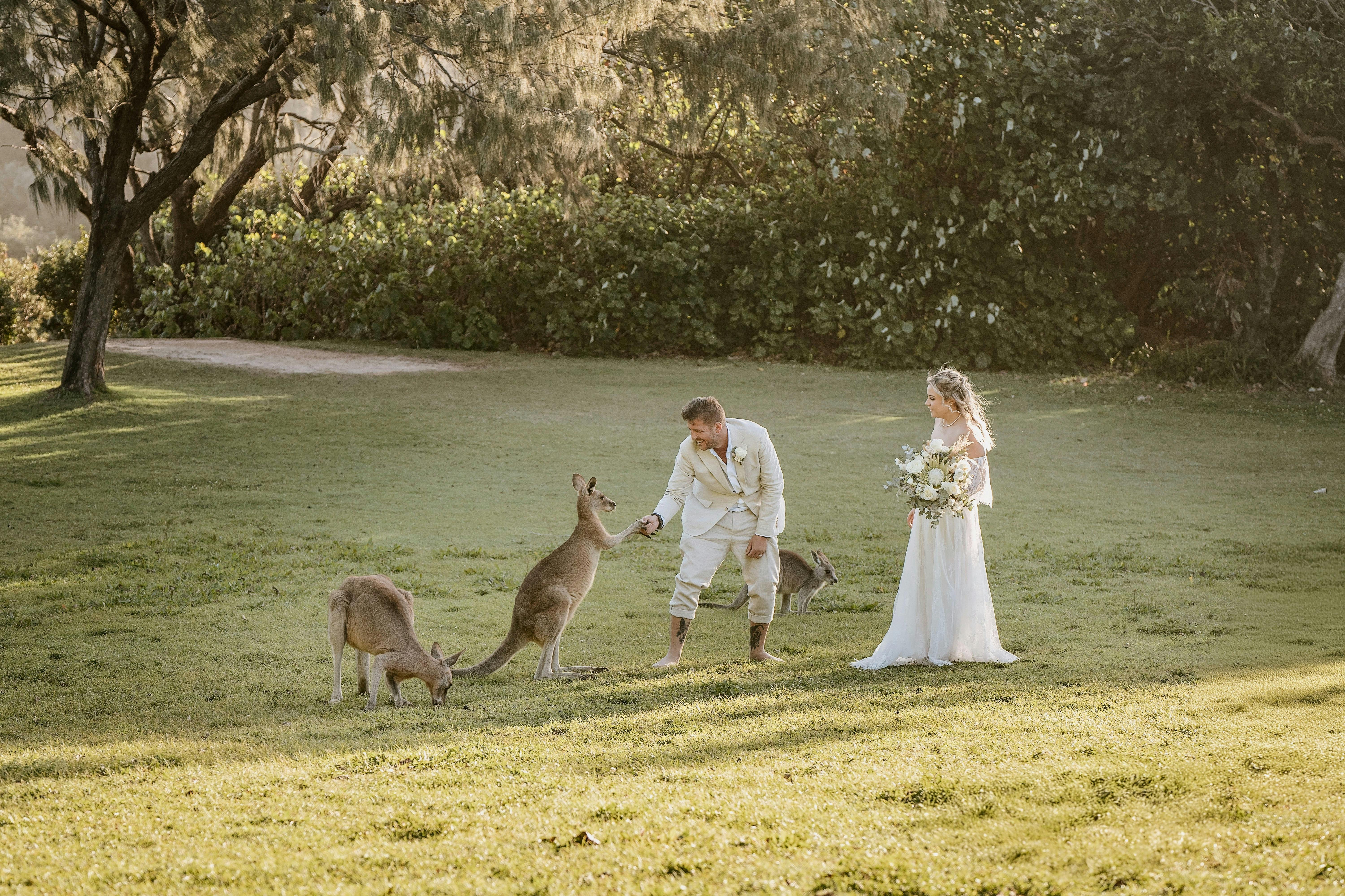 North Straddie elopement