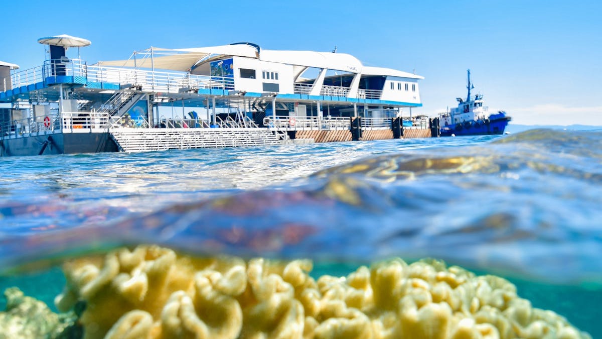 Reef Magic Pontoon Great Barrier Reef