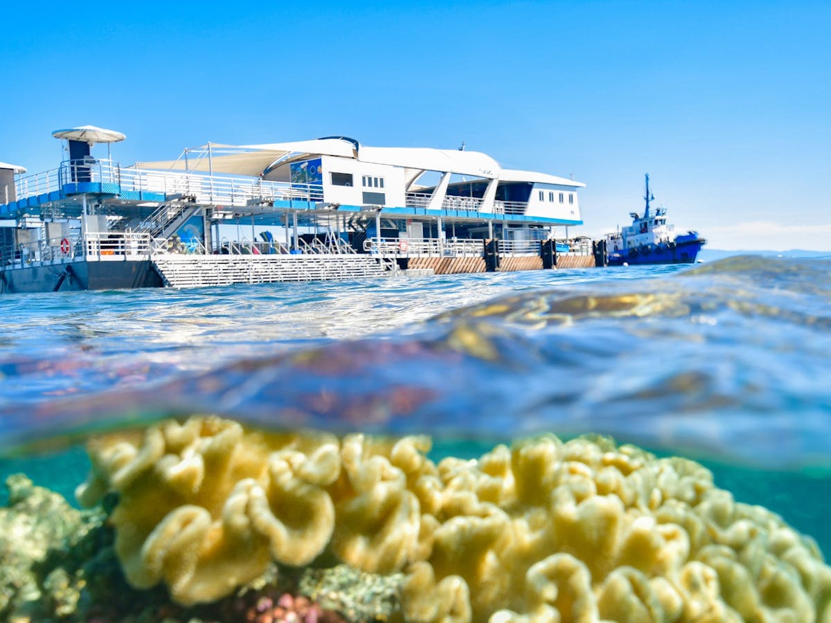 Reef Magic Pontoon Great Barrier Reef