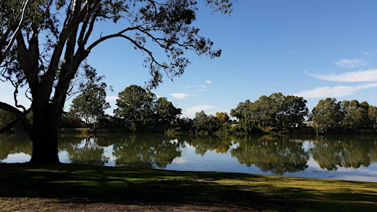 Martin Bend Reserve - Berri, Attraction | South Australia