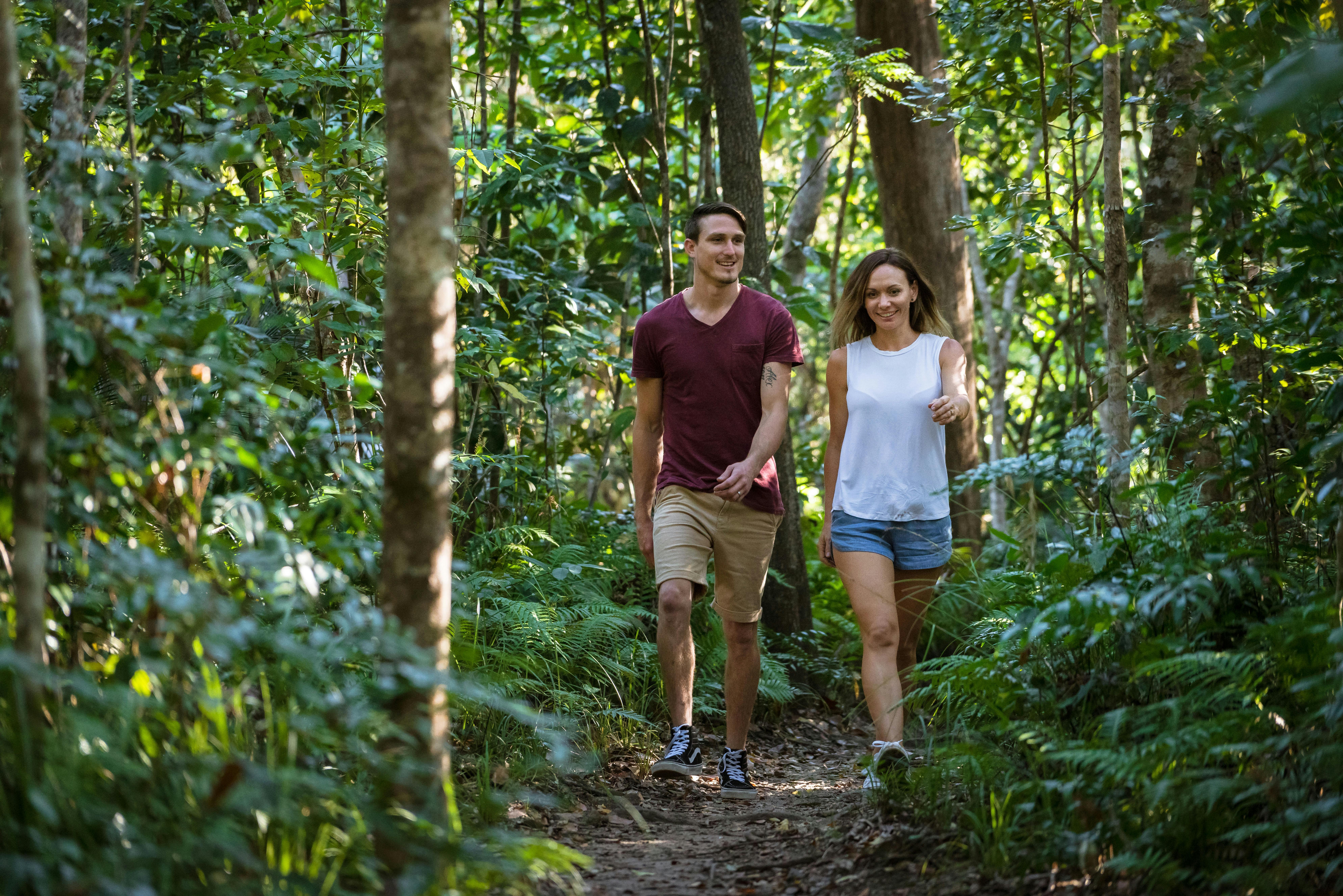 Byfield Rainforest Yeppoon Capricorn Coast