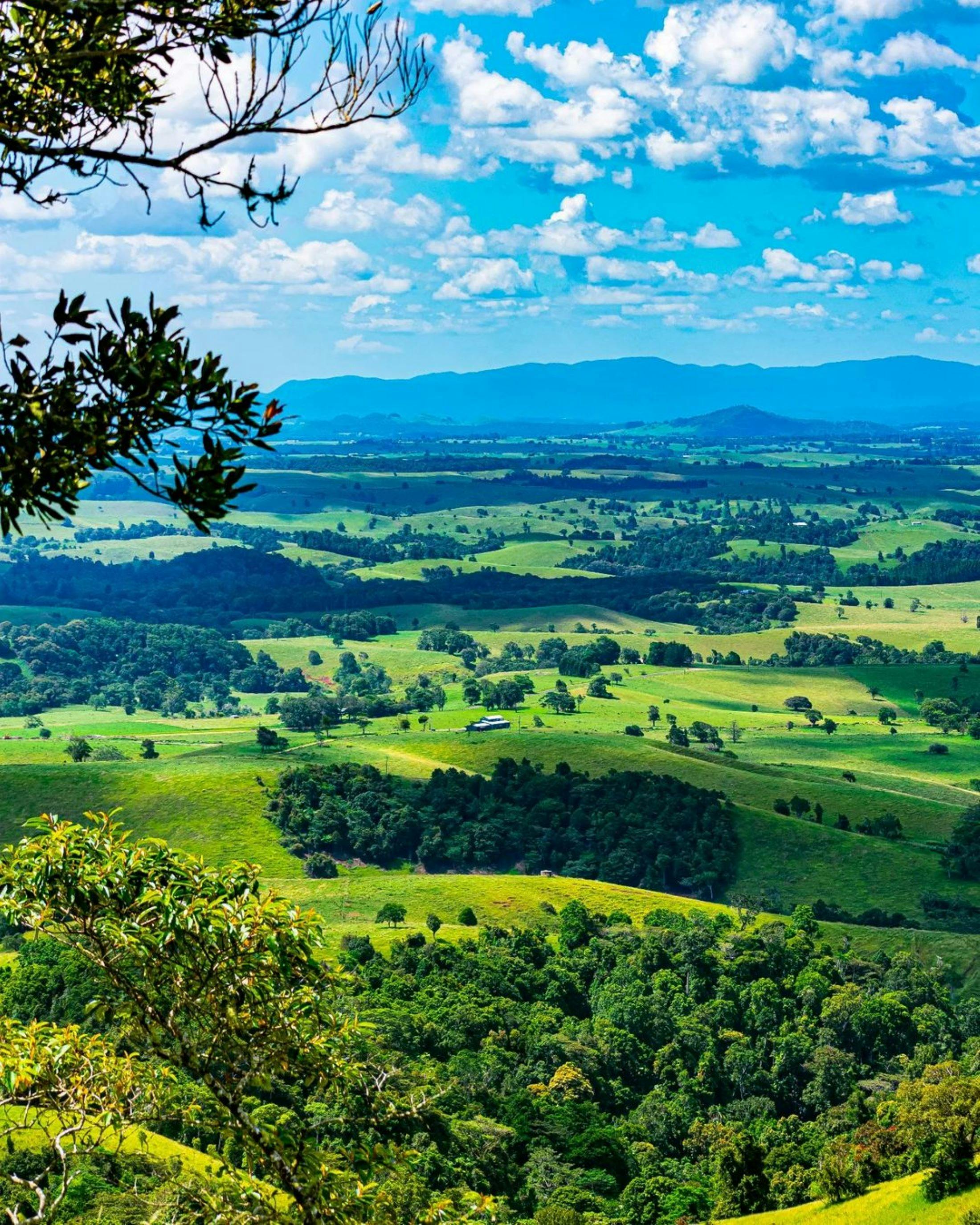 Atherton tablelands