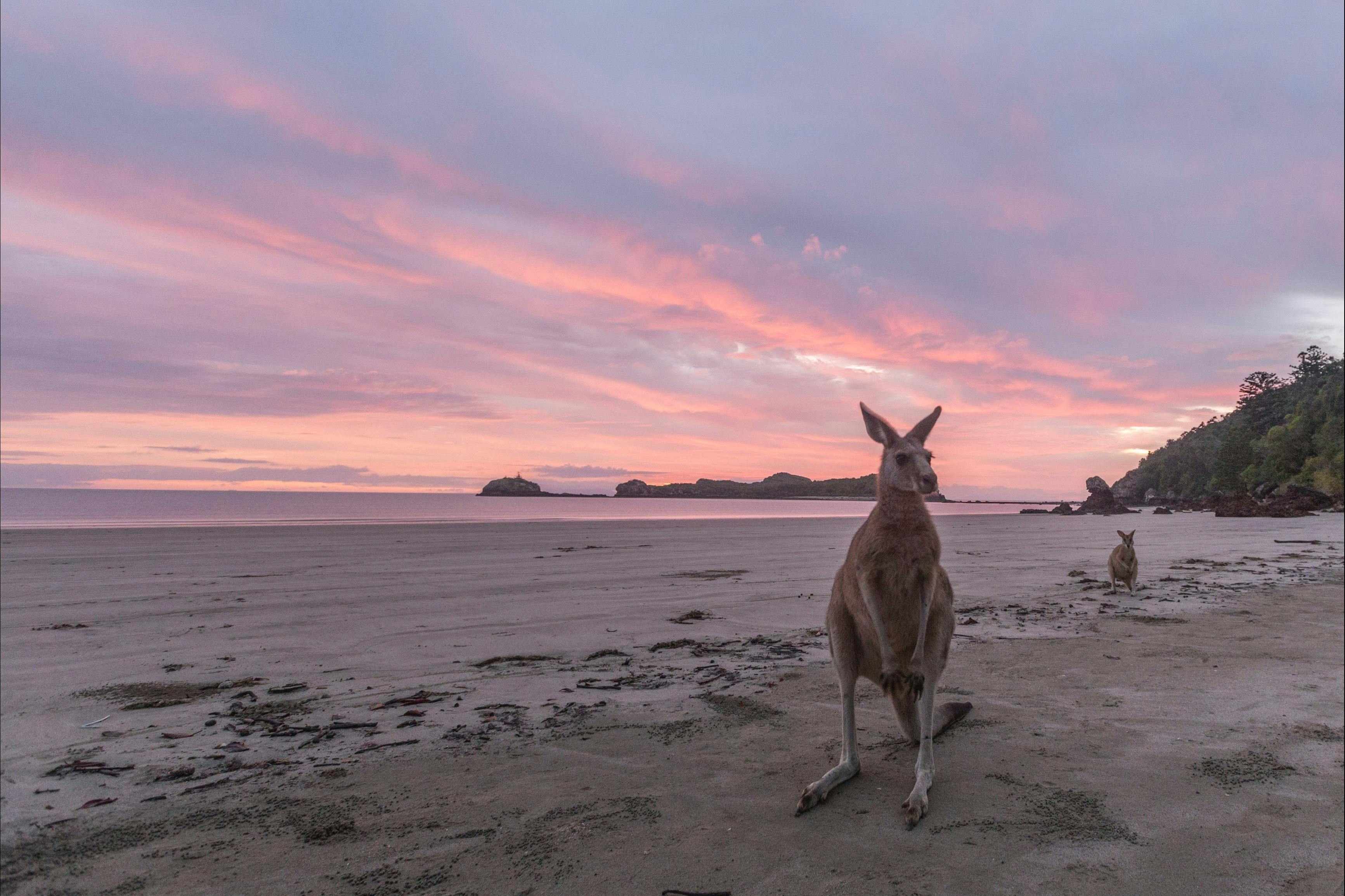 Casuarina Beach to Cape Hillsborough National Park