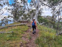 A hiker on the summit of Mt Timbertop. Mt Timbertop's summit has beautiful Snow Gums.
