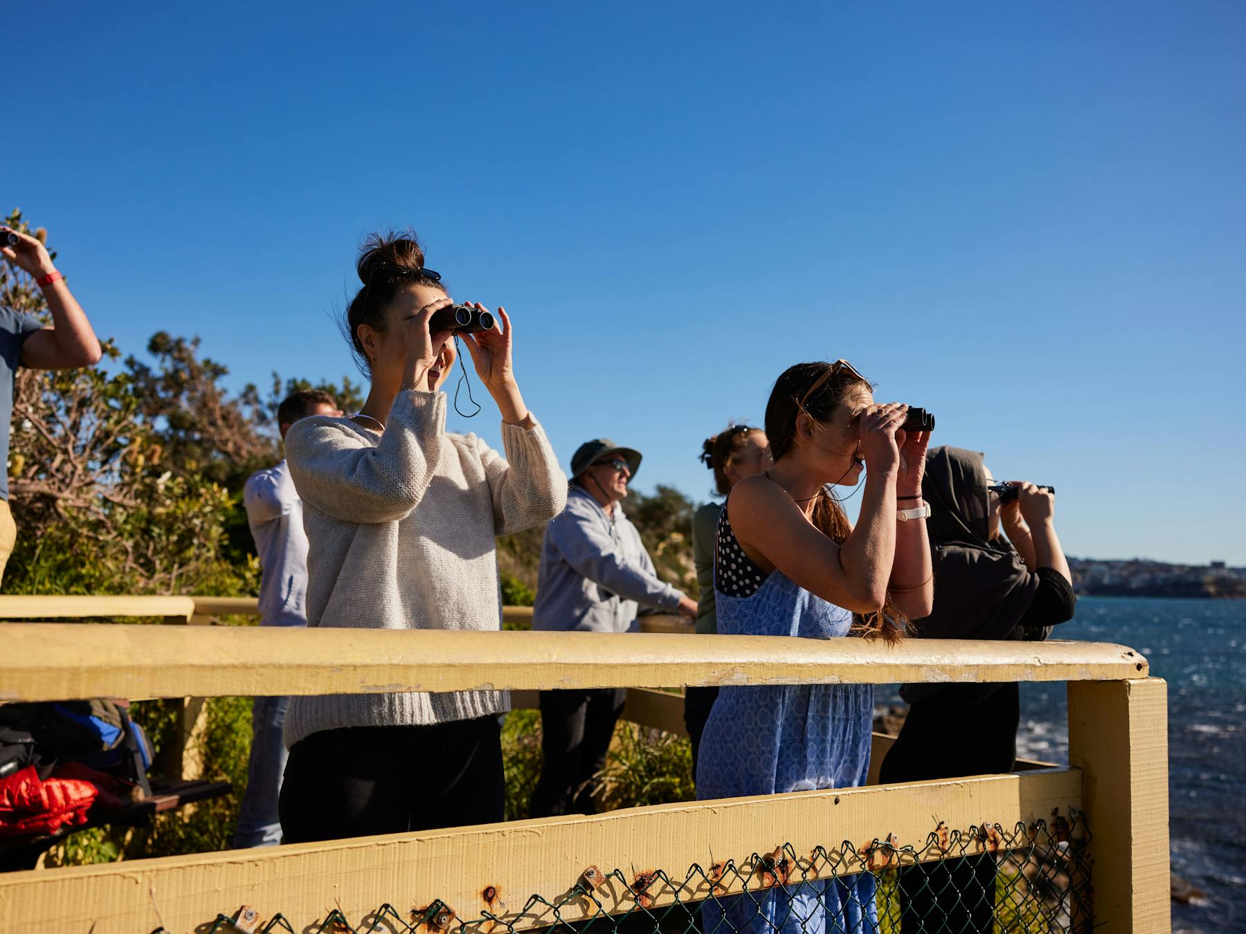 eco tours manly shelly beach eco tours snorkeling