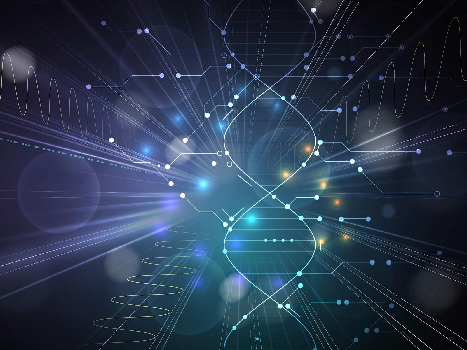 Image for The Journey of Australian Science: Tracing our History, Discovering New Paths