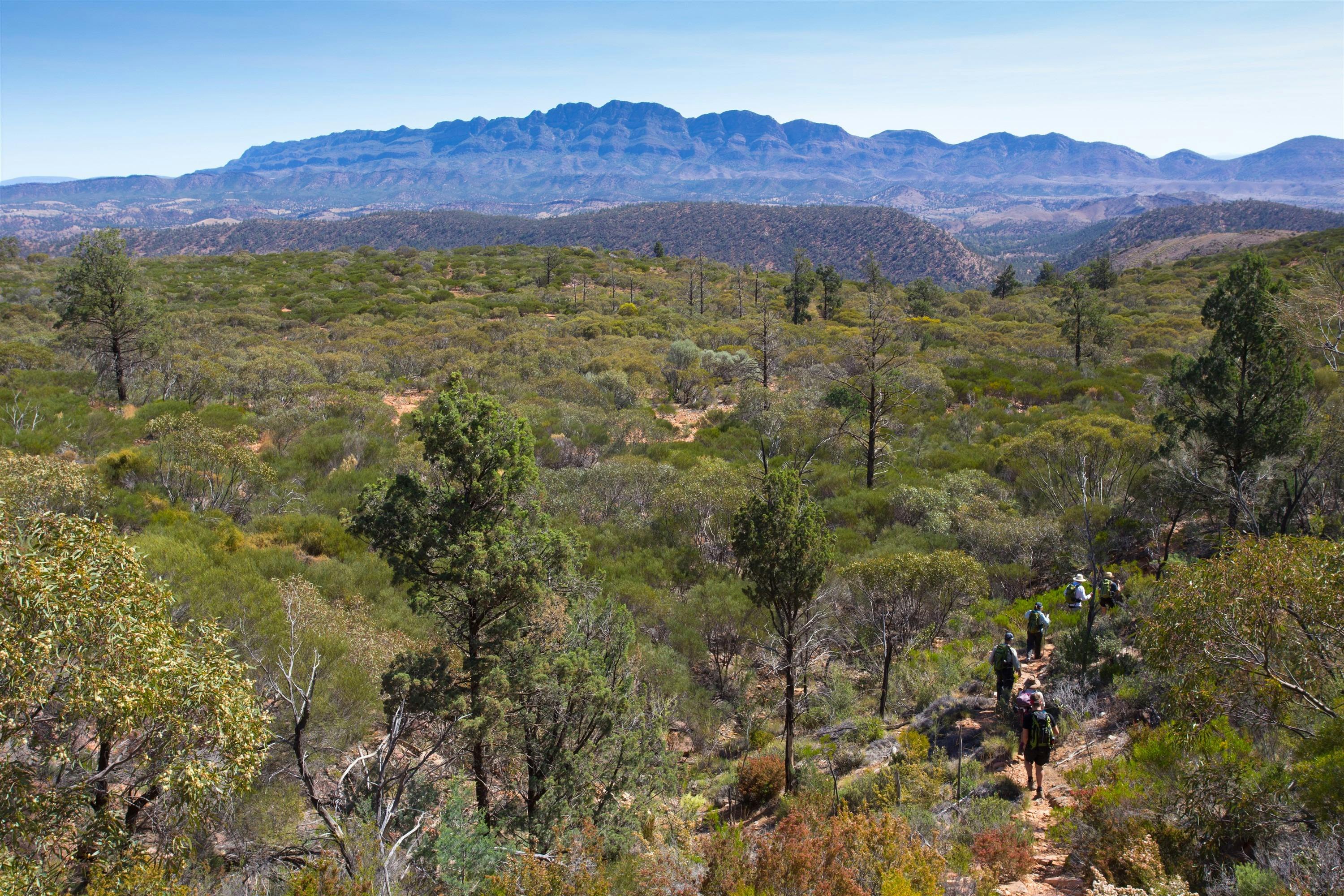 Descending into Arkaba from Wilpena Pound