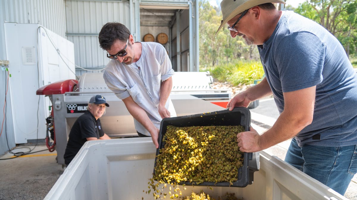 Winemaking